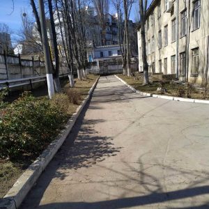 Angajații Școlii auxiliare-internat Nr.5 din sectorul Centru mereu în acțiune!